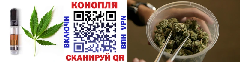 где продают наркотики  Калининец  MEGA зеркало  Еда ТГК конопля 