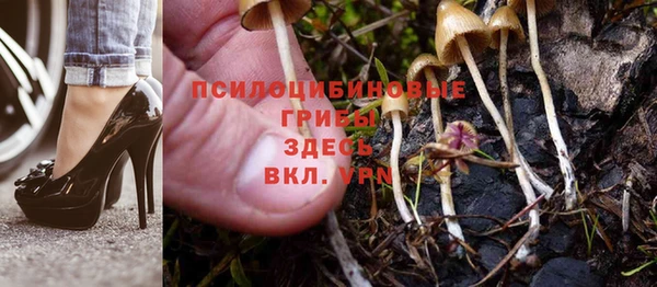 мефедрон Богородицк