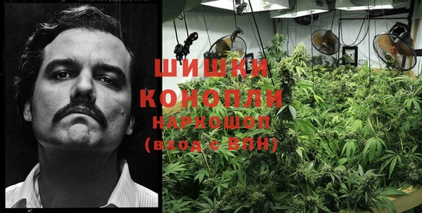 мдма Богданович