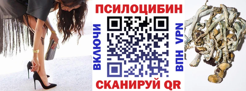 Псилоцибиновые грибы Psilocybe  Калининец 